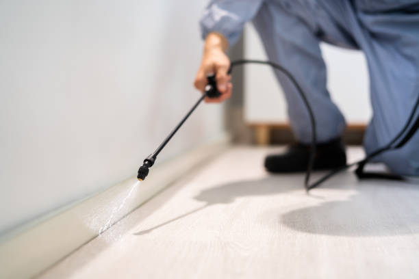 Bed Bug Pre-Treatment Preparation Assessment in Villisca