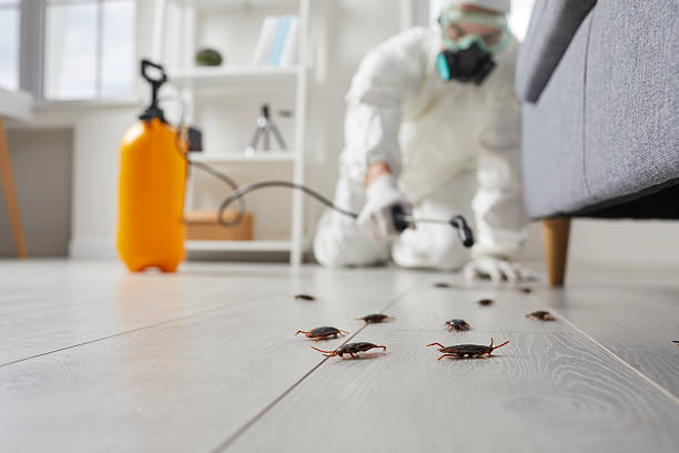 Post-Treatment Bed Bug Interceptor Monitoring in Villisca