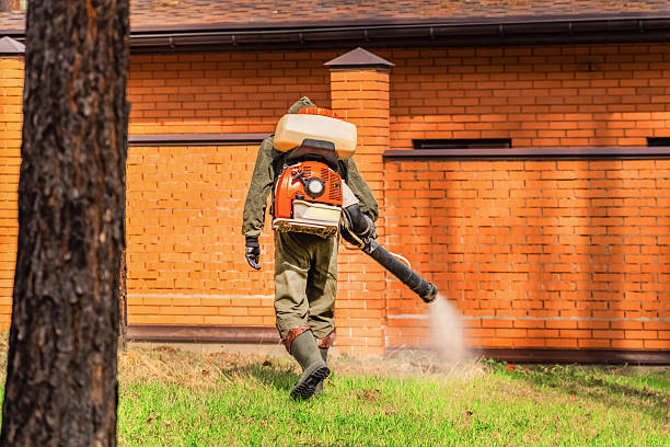 Bed Bug Clearance Verification and Documentation in Villisca
